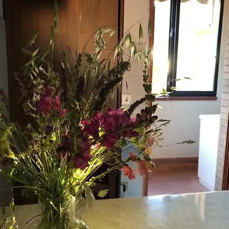 Appartamento Comfortable In Siena, 80 M², View