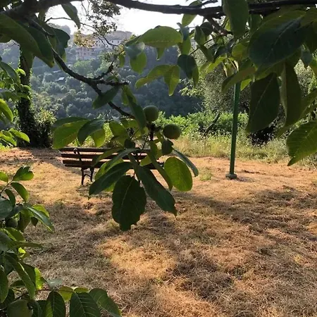 Comfortable In Siena, 80 M², View