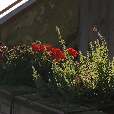 Appartamento Comfortable In Siena, 80 M², View Siena