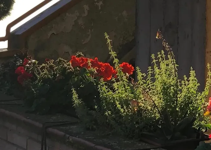 شقة Comfortable In Siena, 80 M², View سيينا