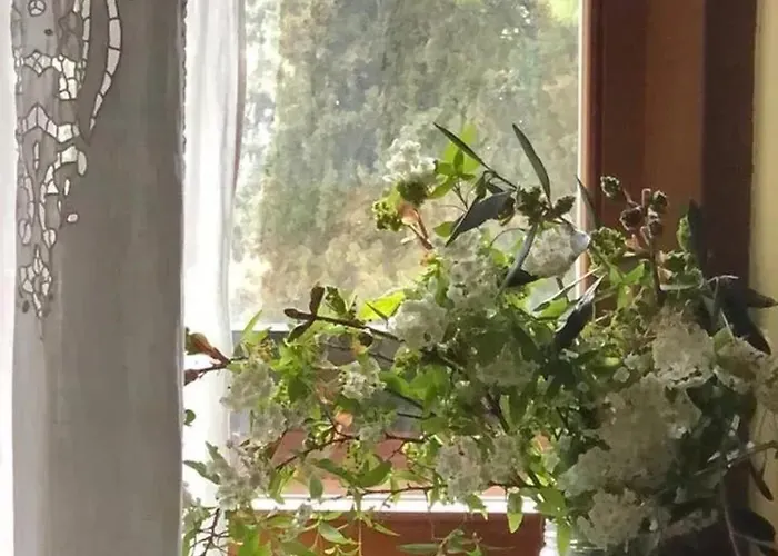 Comfortable In Siena, 80 M², View