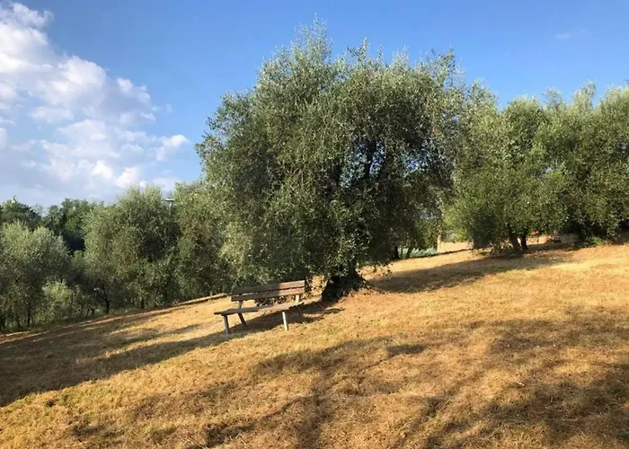 Comfortable In Siena, 80 M², View Siena