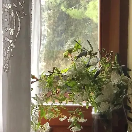 Comfortable In Siena, 80 M², View