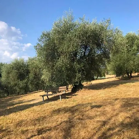 Charming With View In 80 Sqm + Parking Siena