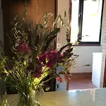 Apartment Comfortable In Siena, 80 M², View