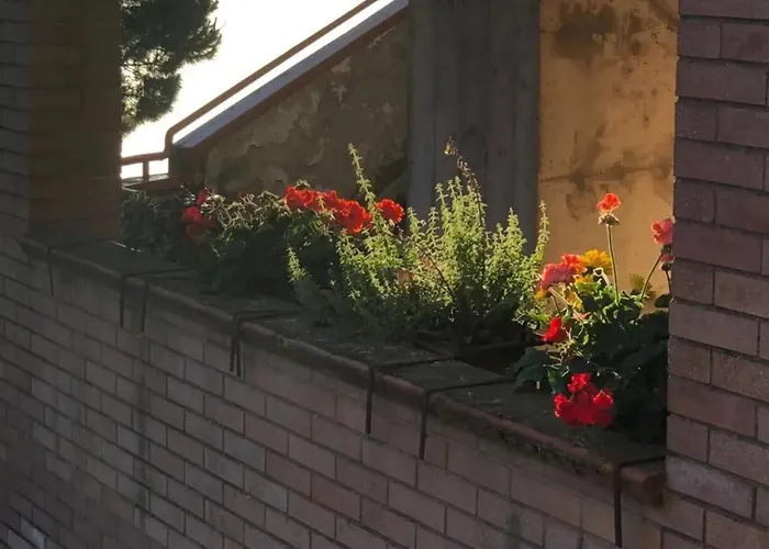 Apartman Comfortable In Siena, 80 M², View