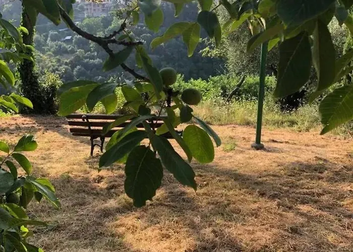 Comfortable In Siena, 80 M², View